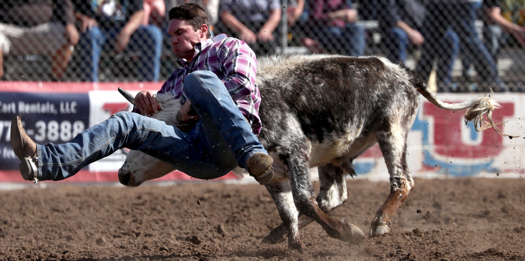 Fiesta de los Vaqueros